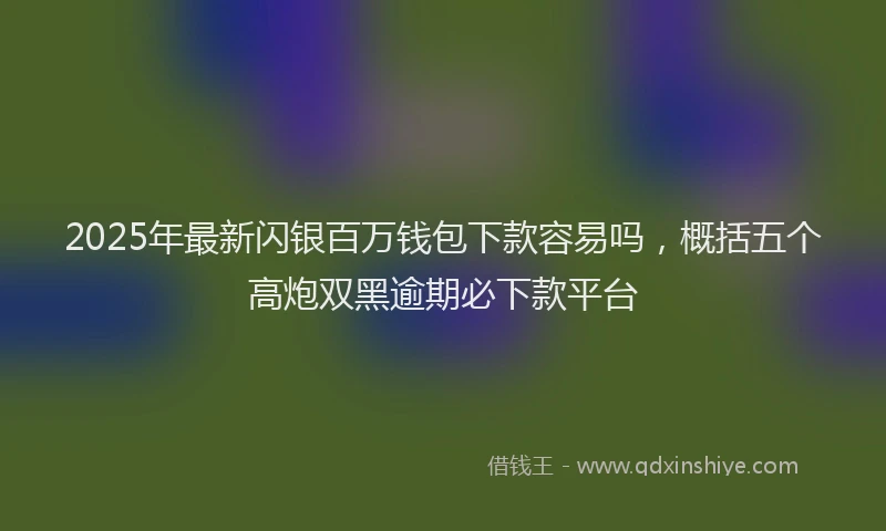 2025年最新闪银百万钱包下款容易吗，概括五个高炮双黑逾期必下款平台