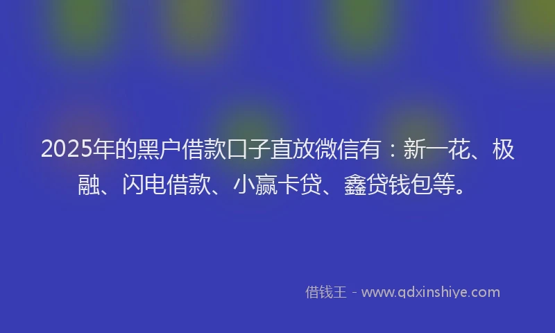 2025年的黑户借款口子直放微信有:新一花、极融、闪电借款、小赢卡贷、鑫贷钱包等。