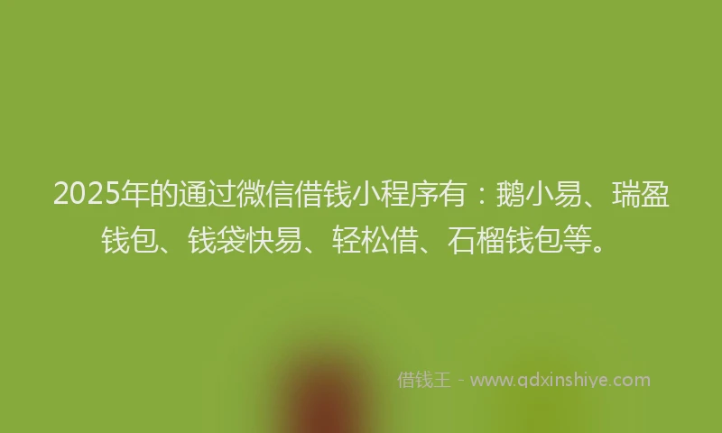 2025年的通过微信借钱小程序有：鹅小易、瑞盈钱包、钱袋快易、轻松借、石榴钱包等。