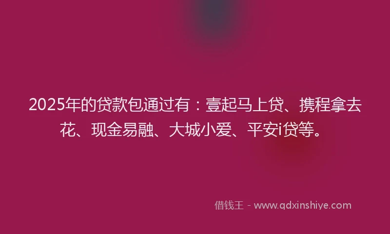 2025年的贷款包通过有：壹起马上贷、携程拿去花、现金易融、大城小爱、平安i贷等。