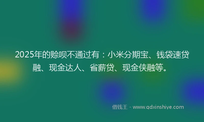 2025年的赊呗不通过有：小米分期宝、钱袋速贷融、现金达人、省薪贷、现金侠融等。