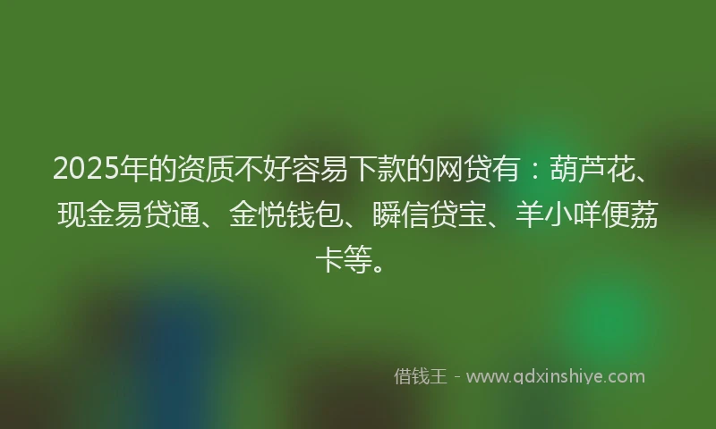 2025年的资质不好容易下款的网贷有：葫芦花、现金易贷通、金悦钱包、瞬信贷宝、羊小咩便荔卡等。