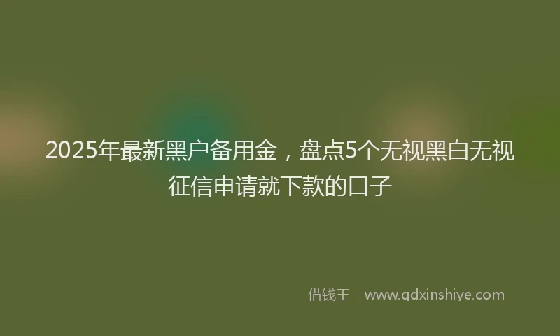 2025年最新黑户备用金，盘点5个无视黑白无视征信申请就下款的口子