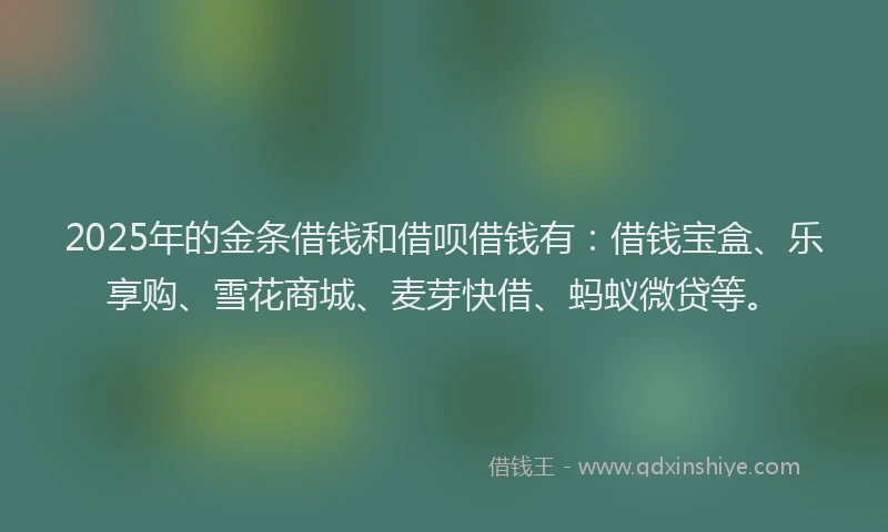 2025年的金条借钱和借呗借钱有：借钱宝盒、乐享购、雪花商城、麦芽快借、蚂蚁微贷等。