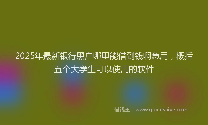 2025年最新银行黑户哪里能借到钱啊急用，概括五个大学生可以使用的软件