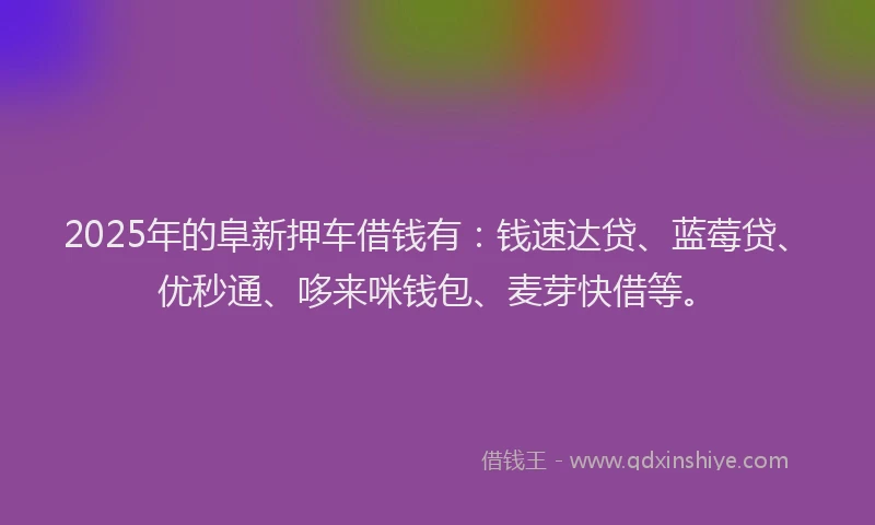 2025年的阜新押车借钱有：钱速达贷、蓝莓贷、优秒通、哆来咪钱包、麦芽快借等。