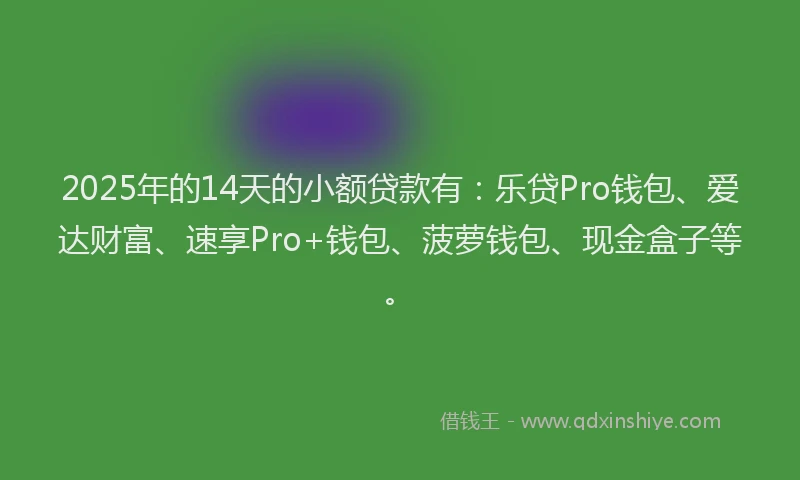 2025年的14天的小额贷款有：乐贷Pro钱包、爱达财富、速享Pro+钱包、菠萝钱包、现金盒子等。