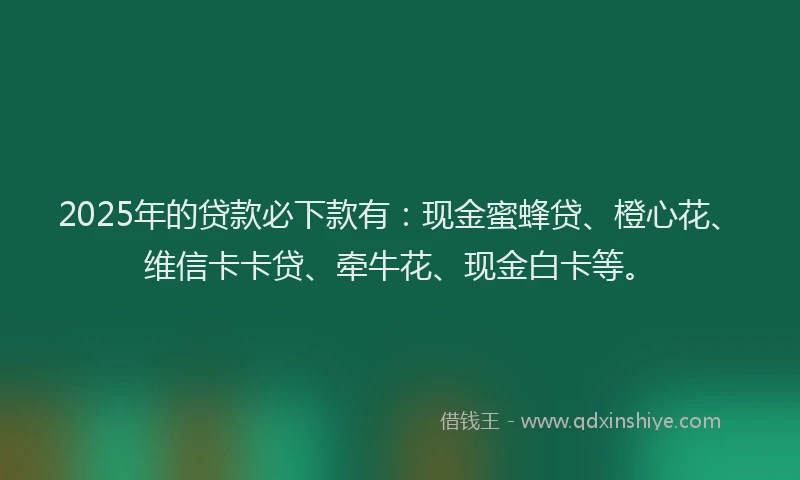 2025年的贷款必下款有：现金蜜蜂贷、橙心花、维信卡卡贷、牵牛花、现金白卡等。