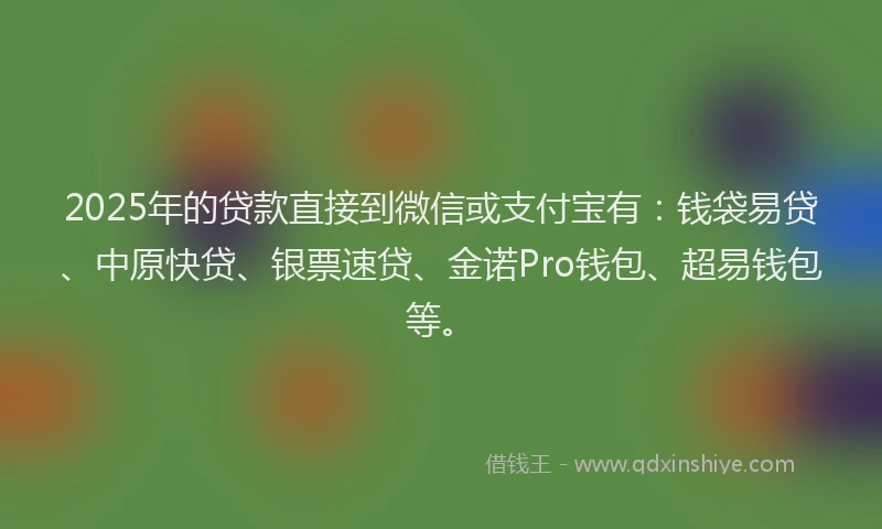 2025年的贷款直接到微信或支付宝有：钱袋易贷、中原快贷、银票速贷、金诺Pro钱包、超易钱包等。