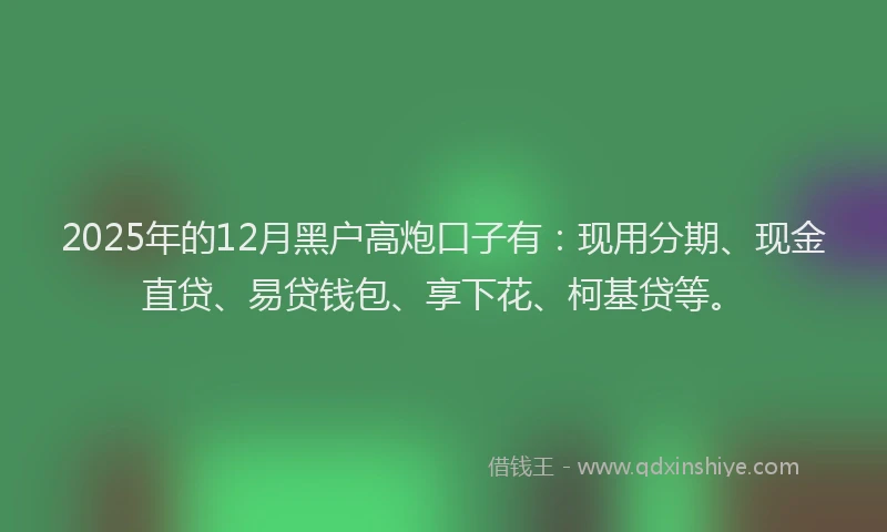 2025年的12月黑户高炮口子有：现用分期、现金直贷、易贷钱包、享下花、柯基贷等。