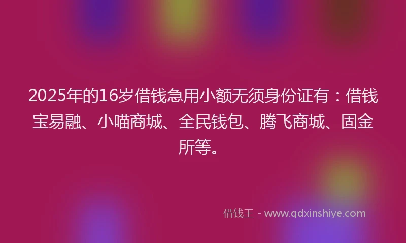 2025年的16岁借钱急用小额无须身份证有：借钱宝易融、小喵商城、全民钱包、腾飞商城、固金所等。