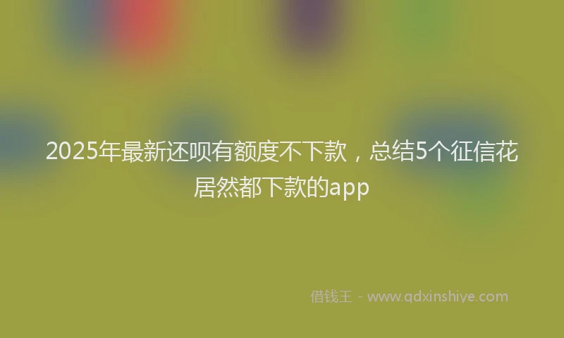 2025年最新还呗有额度不下款，总结5个征信花居然都下款的app