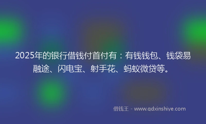2025年的银行借钱付首付有：有钱钱包、钱袋易融途、闪电宝、射手花、蚂蚁微贷等。