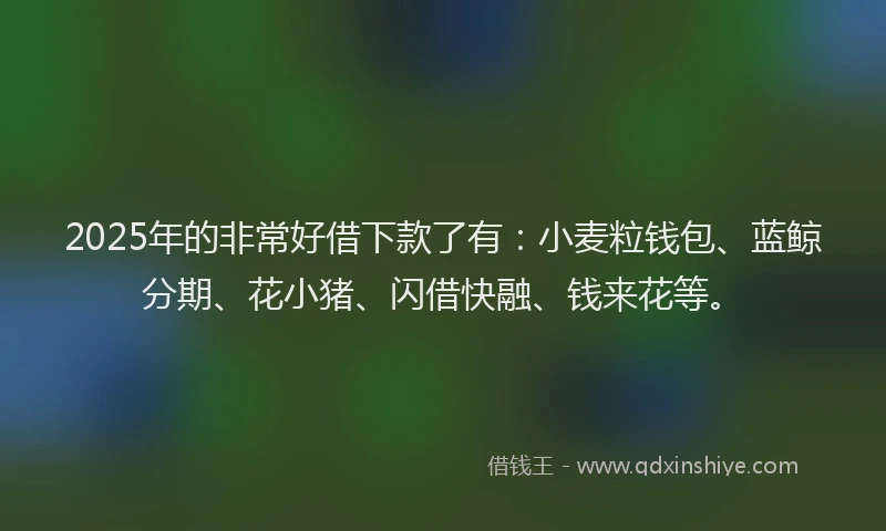2025年的非常好借下款了有：小麦粒钱包、蓝鲸分期、花小猪、闪借快融、钱来花等。