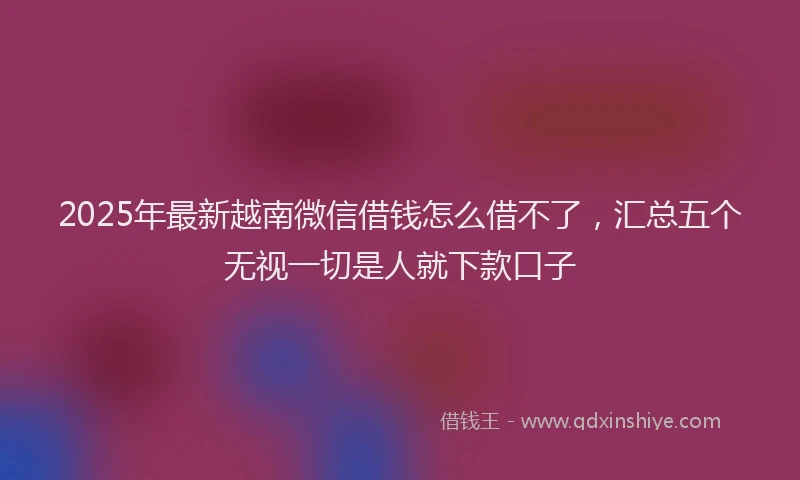 2025年最新越南微信借钱怎么借不了，汇总五个无视一切是人就下款口子