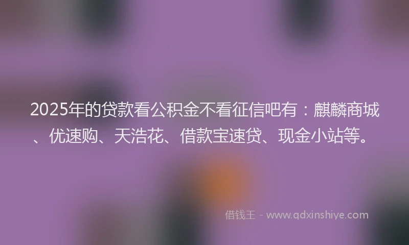 2025年的贷款看公积金不看征信吧有：麒麟商城、优速购、天浩花、借款宝速贷、现金小站等。