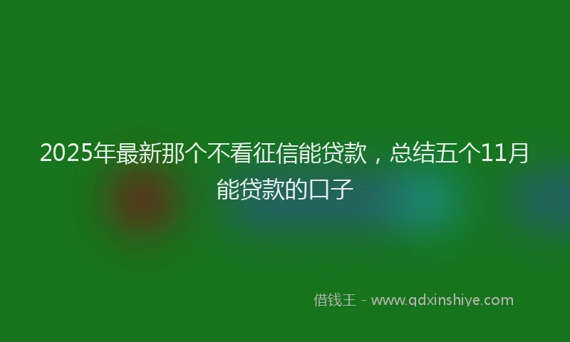 2025年最新那个不看征信能贷款，总结五个11月能贷款的口子