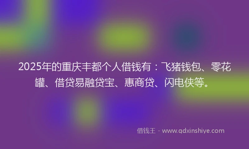 2025年的重庆丰都个人借钱有：飞猪钱包、零花罐、借贷易融贷宝、惠商贷、闪电侠等。
