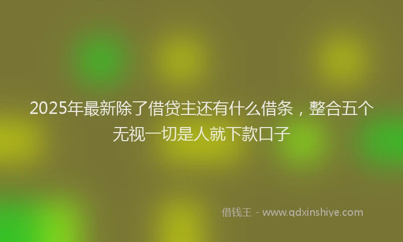 2025年最新除了借贷主还有什么借条，整合五个无视一切是人就下款口子