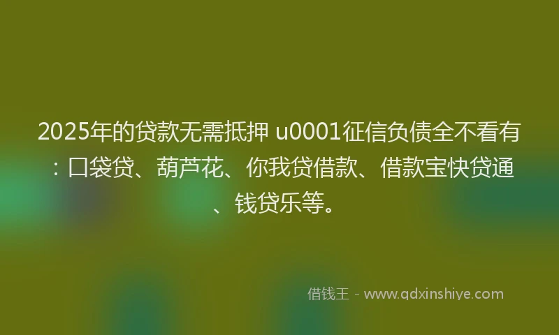 2025年的贷款无需抵押 u0001征信负债全不看有：口袋贷、葫芦花、你我贷借款、借款宝快贷通、钱贷乐等。