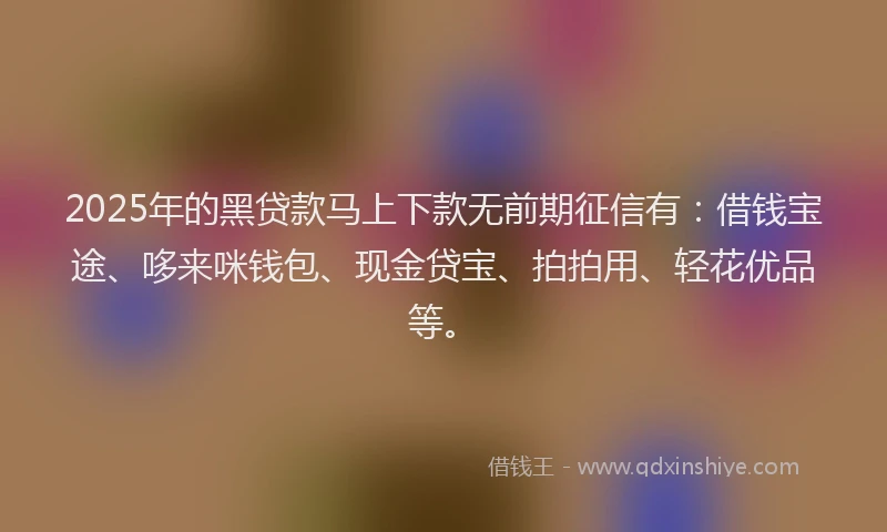 2025年的黑贷款马上下款无前期征信有：借钱宝途、哆来咪钱包、现金贷宝、拍拍用、轻花优品等。