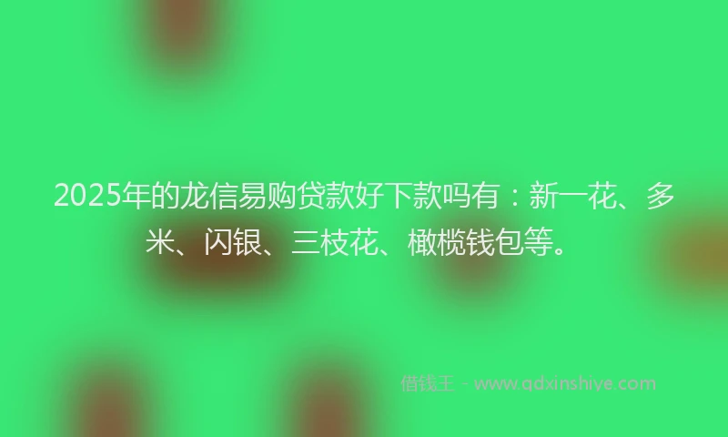 2025年的龙信易购贷款好下款吗有：新一花、多米、闪银、三枝花、橄榄钱包等。