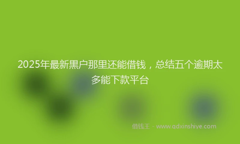 2025年最新黒户那里还能借钱，总结五个逾期太多能下款平台