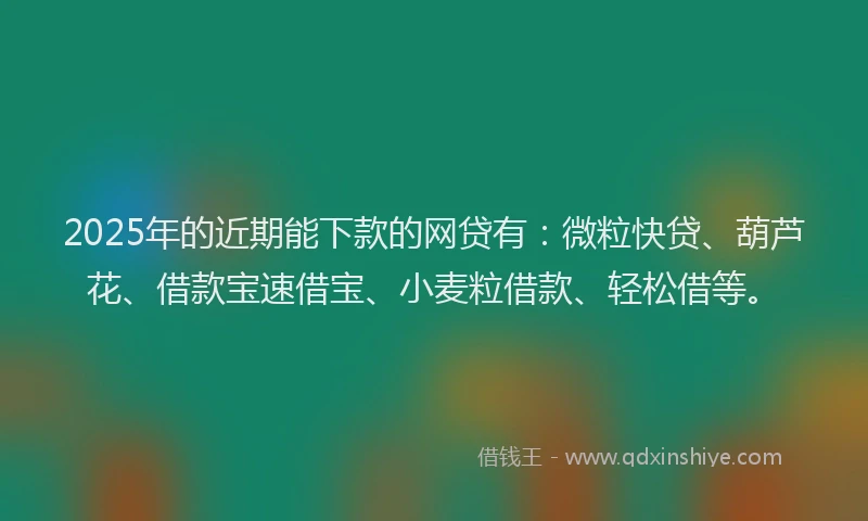 2025年的近期能下款的网贷有：微粒快贷、葫芦花、借款宝速借宝、小麦粒借款、轻松借等。