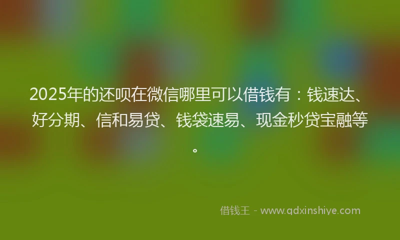 2025年的还呗在微信哪里可以借钱有：钱速达、好分期、信和易贷、钱袋速易、现金秒贷宝融等。