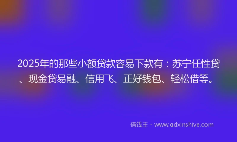 2025年的那些小额贷款容易下款有:苏宁任性贷、现金贷易融、信用飞、正好钱包、轻松借等。