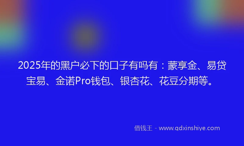2025年的黑户必下的口子有吗有：蒙享金、易贷宝易、金诺Pro钱包、银杏花、花豆分期等。