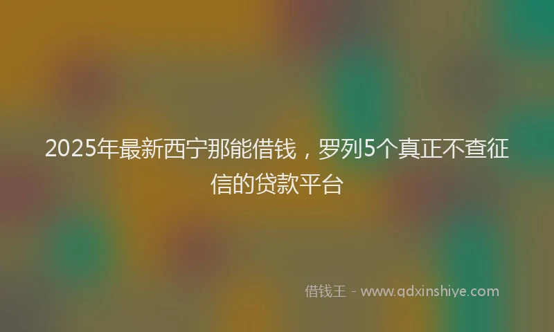 2025年最新西宁那能借钱，罗列5个真正不查征信的贷款平台