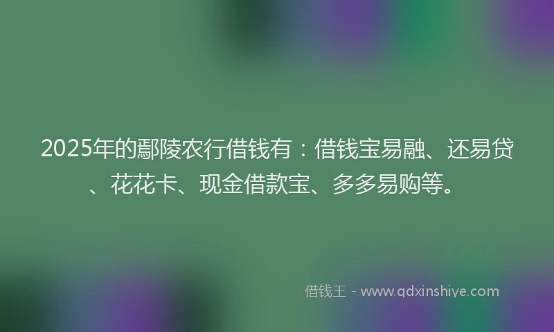 2025年的鄢陵农行借钱有：借钱宝易融、还易贷、花花卡、现金借款宝、多多易购等。