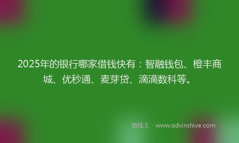 2025年的银行哪家借钱快有：智融钱包、橙丰商城、优秒通、麦芽贷、滴滴数科等。