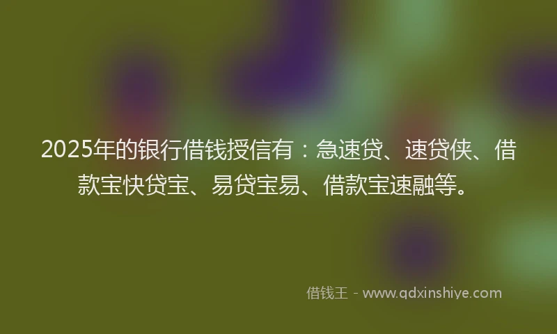 2025年的银行借钱授信有：急速贷、速贷侠、借款宝快贷宝、易贷宝易、借款宝速融等。
