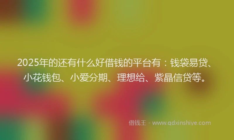 2025年的还有什么好借钱的平台有：钱袋易贷、小花钱包、小爱分期、理想给、紫晶信贷等。