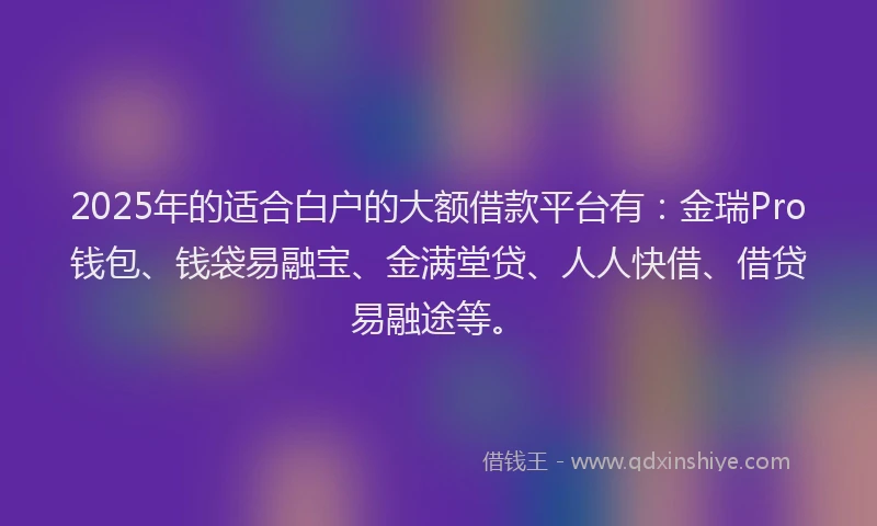 2025年的适合白户的大额借款平台有：金瑞Pro钱包、钱袋易融宝、金满堂贷、人人快借、借贷易融途等。