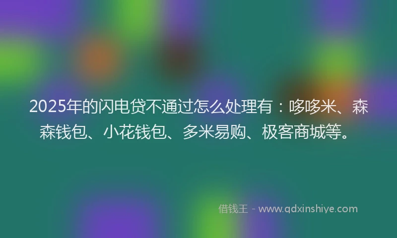 2025年的闪电贷不通过怎么处理有：哆哆米、森森钱包、小花钱包、多米易购、极客商城等。