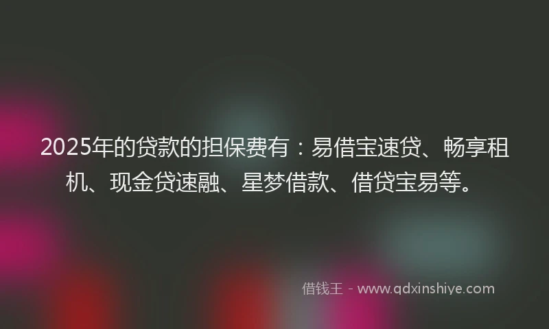 2025年的贷款的担保费有：易借宝速贷、畅享租机、现金贷速融、星梦借款、借贷宝易等。