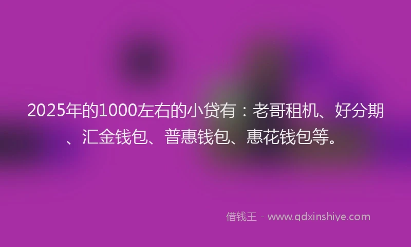 2025年的1000左右的小贷有：老哥租机、好分期、汇金钱包、普惠钱包、惠花钱包等。