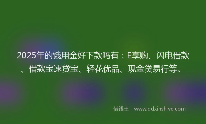 2025年的饿用金好下款吗有：E享购、闪电借款、借款宝速贷宝、轻花优品、现金贷易行等。