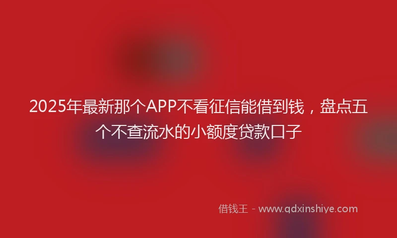 2025年最新那个APP不看征信能借到钱，盘点五个不查流水的小额度贷款口子