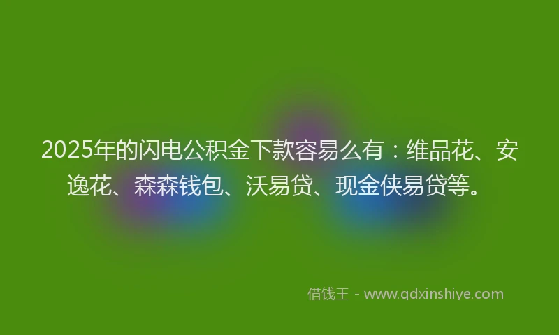 2025年的闪电公积金下款容易么有：维品花、安逸花、森森钱包、沃易贷、现金侠易贷等。