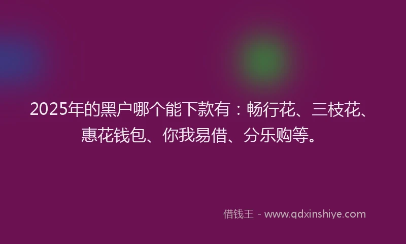 2025年的黑户哪个能下款有：畅行花、三枝花、惠花钱包、你我易借、分乐购等。