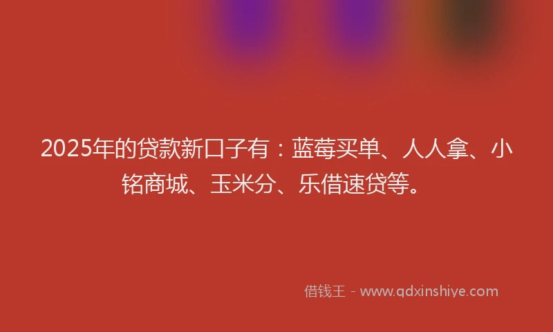 2025年的贷款新口子有：蓝莓买单、人人拿、小铭商城、玉米分、乐借速贷等。