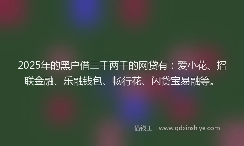 2025年的黑户借三千两千的网贷有:爱小花、招联金融、乐融钱包、畅行花、闪贷宝易融等。
