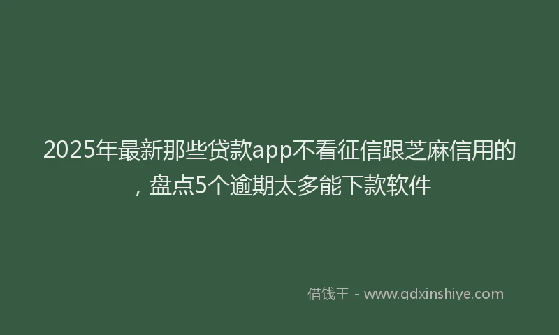 2025年最新那些贷款app不看征信跟芝麻信用的，盘点5个逾期太多能下款软件