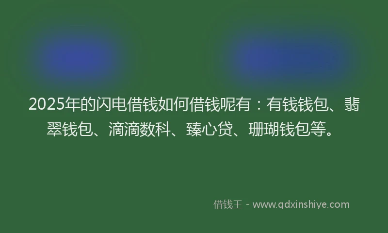 2025年的闪电借钱如何借钱呢有：有钱钱包、翡翠钱包、滴滴数科、臻心贷、珊瑚钱包等。
