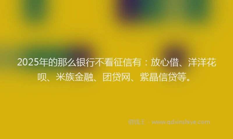 2025年的那么银行不看征信有：放心借、洋洋花呗、米族金融、团贷网、紫晶信贷等。