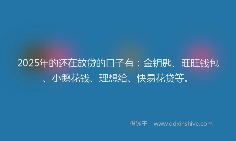 2025年的还在放贷的口子有：金钥匙、旺旺钱包、小鹅花钱、理想给、快易花贷等。